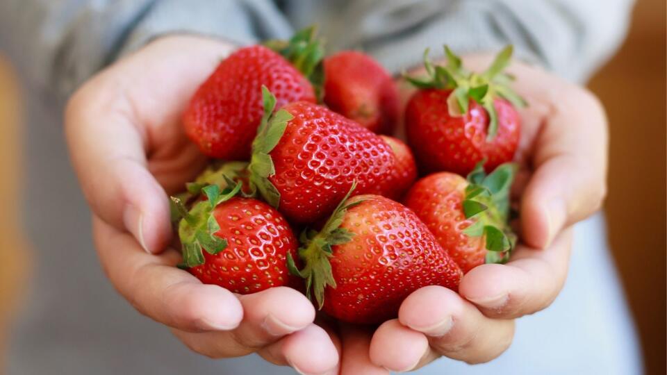 Obsahujú vysoké množstvo antioxidantov.