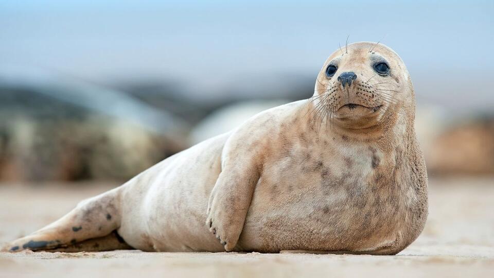 Ilustračná fotografia