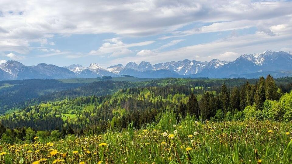 Ako prišli Vysoké Tatry o pozemky za milióny eur - Najvyšší súd rozhodol, že v spore, ktorý má korene ešte v 19. storočí, boli poškodené práva súkromníkov