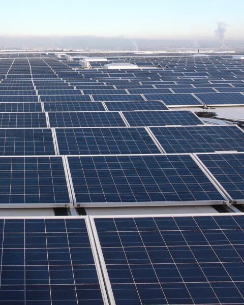 Kvíz: Dokázali by ste ušetriť peniaze pomocou solárnych panelov?