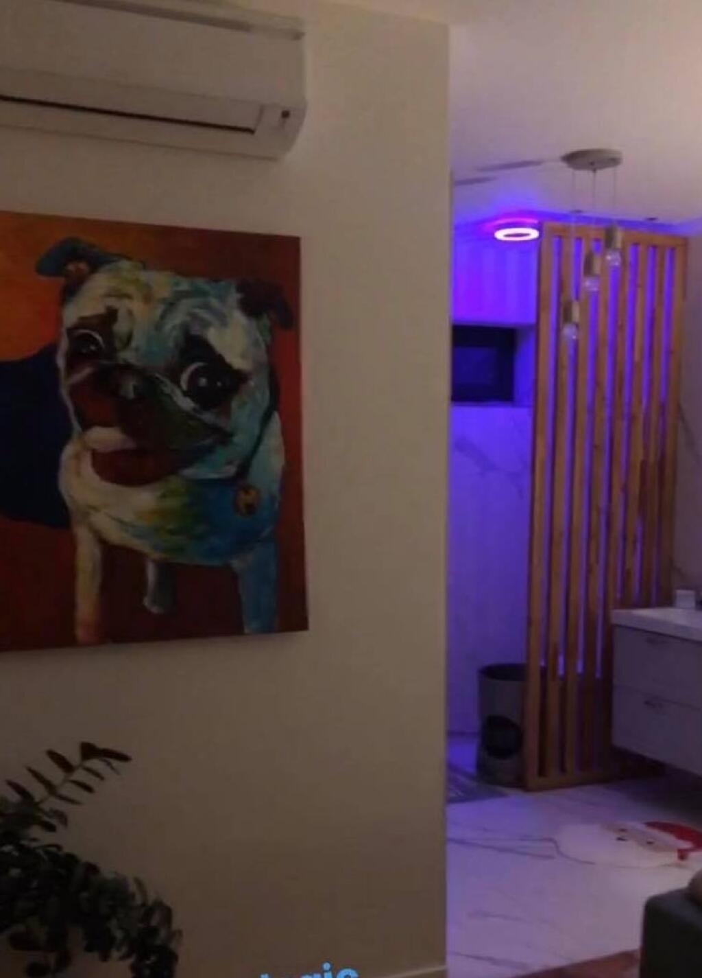 V spálni mu visí aj obraz farebného psíka a nechýba ani klíma.
