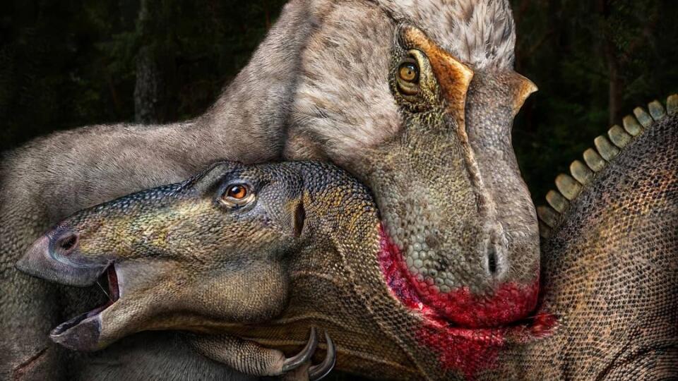 Gorgosaurus vs Maiasaura.