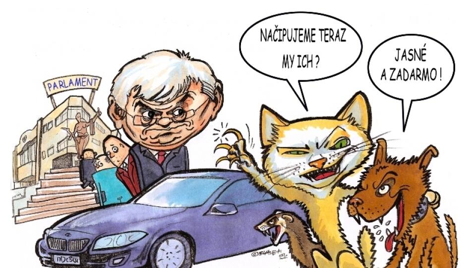 Mnohí majitelia dali pod nátlakom hrozby vysokej pokuty svoje zviera začipovať. Poslanci však teraz schválili, že čipovanie bude dobrovoľné.