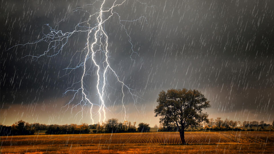 Pod opustený strom sa neschovávajte.