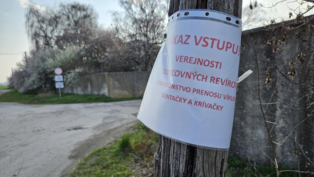 Na snímke oznam o zákaze vstupu verejnosti do poľovných revírov pred bránou poľnohospodárskeho družstva v obci Malá Lúč, v okrese Dunajská Streda 25. marca 2025. Vysoko nákazlivé ochorenie slintačky a krívačky potvrdili v chove v obci Malá Lúč, v okrese Dunajská streda. FOTO TASR - Milan Drozd