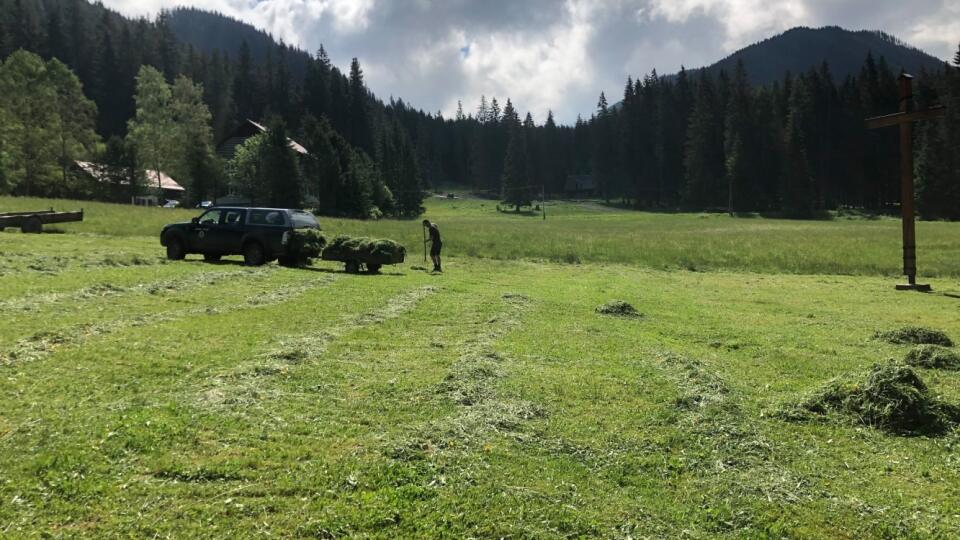 Štátne lesy TANAPu