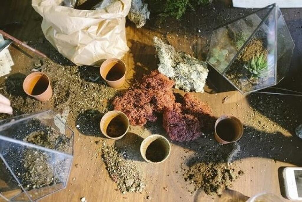 V dlhšie skladovanom substráte sa nachádza minimum živín.