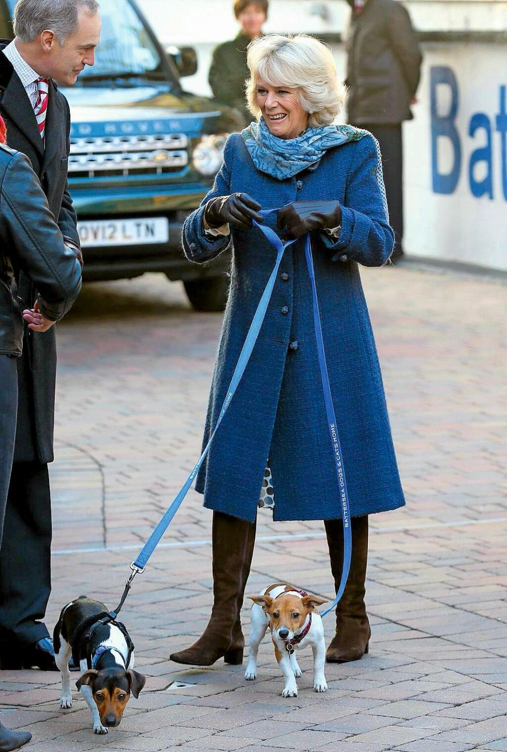 Záchrancovia
Charles
a Camilla