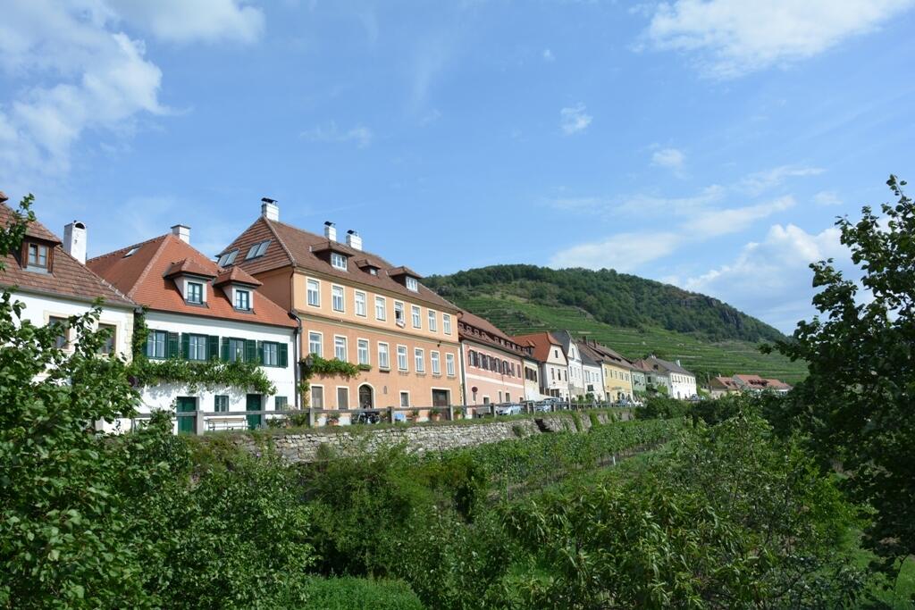 V Dolnom Rakúsku je v plnom prúde vinohradnícka jeseň.