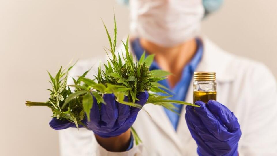 CBD NESTAČÍ Podľa občianskeho združenia Medicann nestačí povoliť olej, ale rovnako látku THC, ktorá prináša želaný účinok.