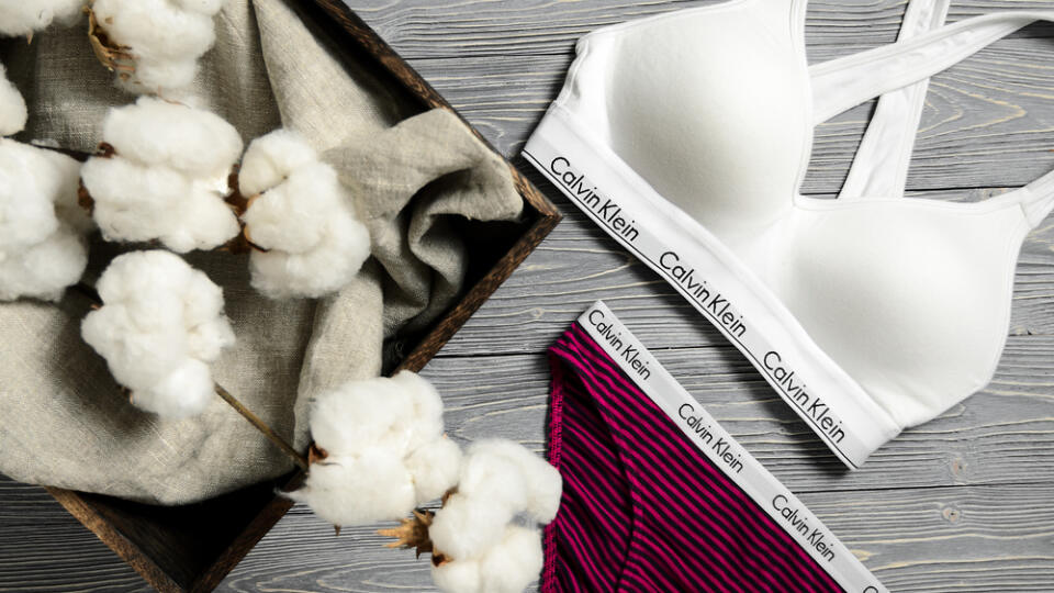 OTESTUJTE SA: Ste skutočnou znalkyňou módneho giganta Calvin Klein?