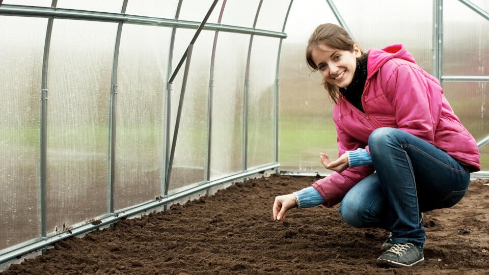 Young,Woman,Sows,In,Bed,At,Hothouse