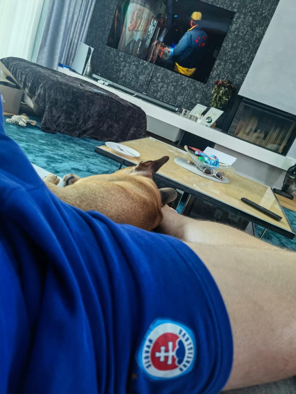 Robí mu spoločnosť aj pred televízorom.