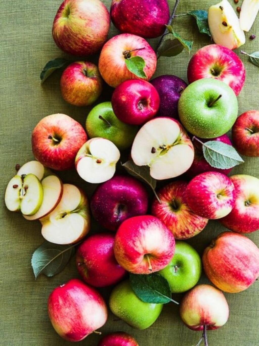 Яблоня сочное. Яблоки. Красивое яблоко. Разноцветные фрукты. Спелые яблоки.