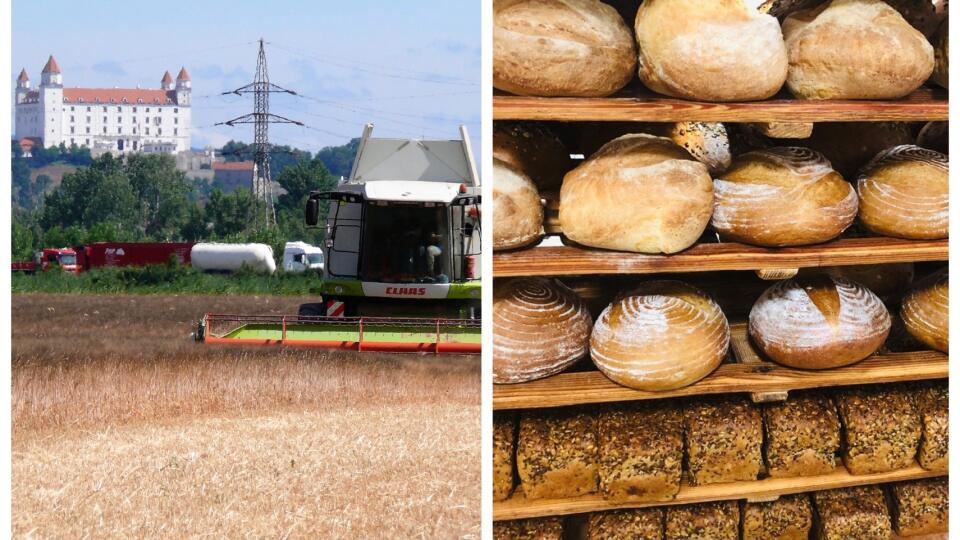 Obilia máme podľa agrorezortu na Slovensku dosť, cena potravín ale kvôli vojne na Ukrajine drasticky stúpne.