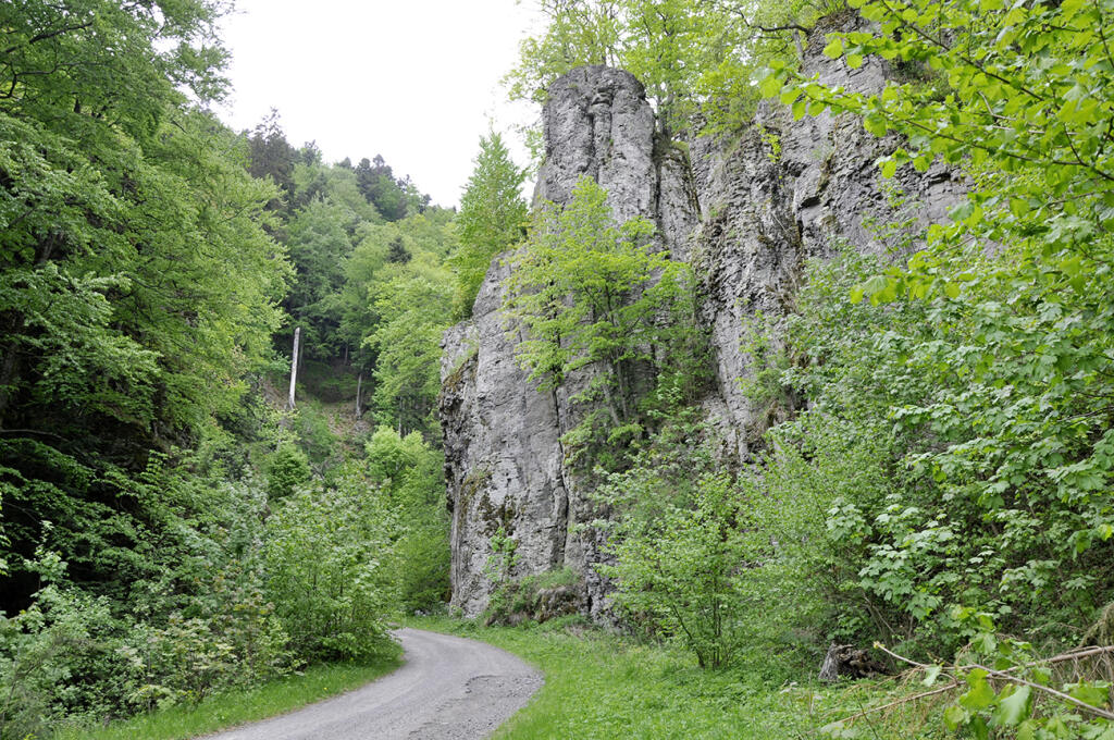 Železné vráta