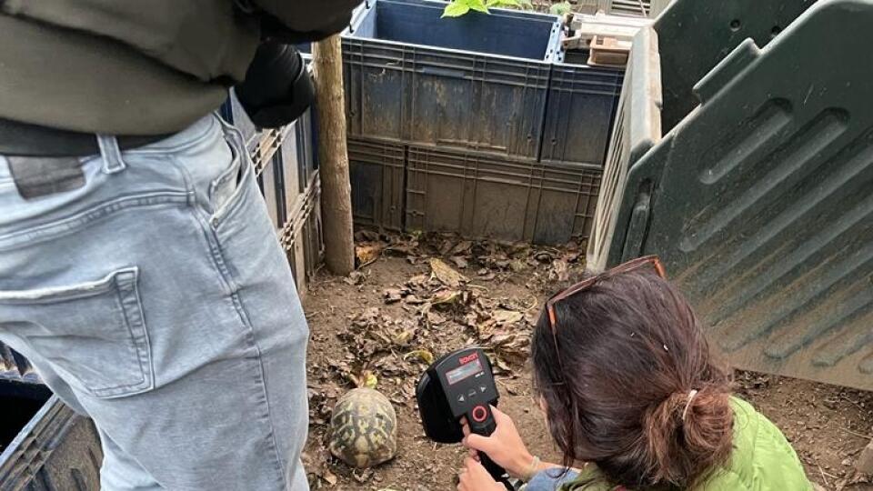 Domová prehliadka bola realizovaná po začatí trestného stíhania vo veci prečinu porušovanie ochrany rastlín a živočíchov.