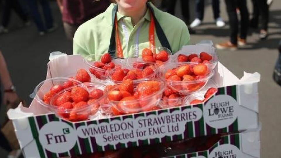 Viac ako 38 ton jahôd, ktoré pestovali pre organizátorov tenisového Wimbledonu, poputuje do škôl, supermarketov a obchodov s potravinami.