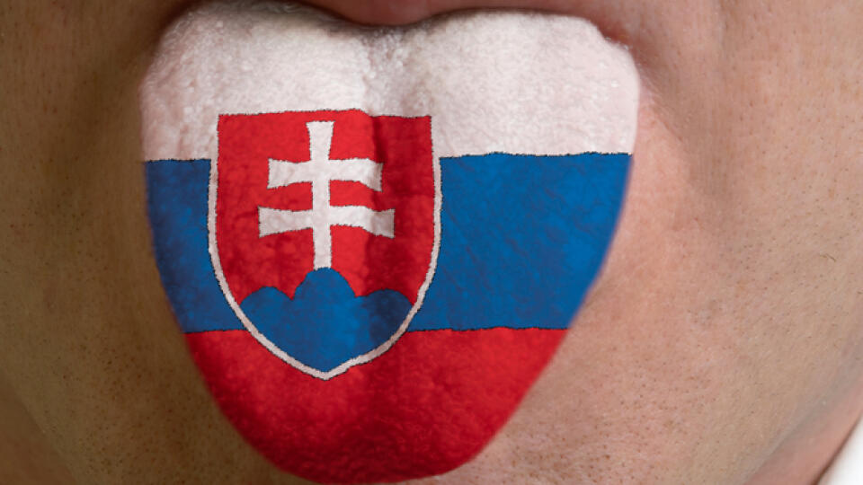 Slovenský jazyk nie je jednoduchý. Ako ho ovládate vy?