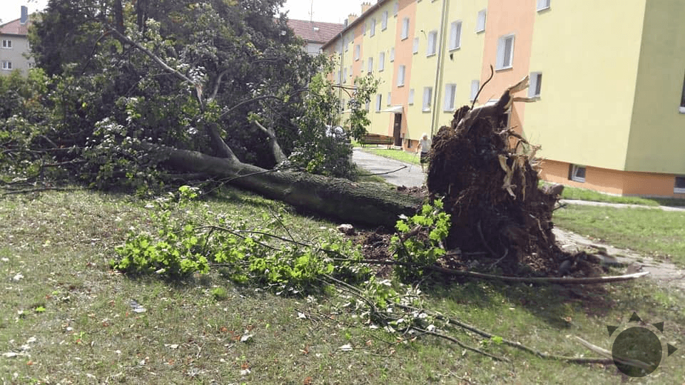Silný vietor v Uničove zdevastoval 40 stromov v priebehu pár minút.
