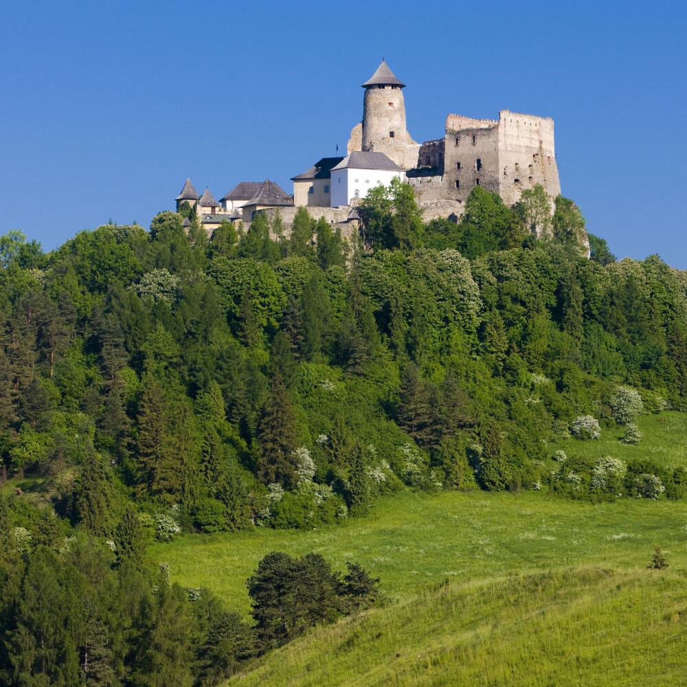 POSLEDNÍ MAJITELIA V Starej Ľubovni starí rodičia neraz rozprávali vnukom, ako ich hrad „niekedy dávno-pradávno“ patril grófom Zámojským.
