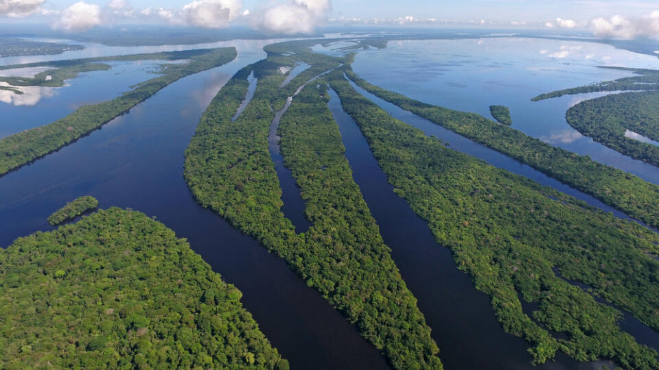 Anavilhanas,Archipelago,,Flooded,Amazonia,Forest,In,Negro,River,,Amazonas,,Brazil