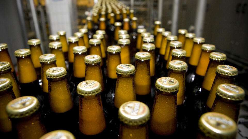 pivo