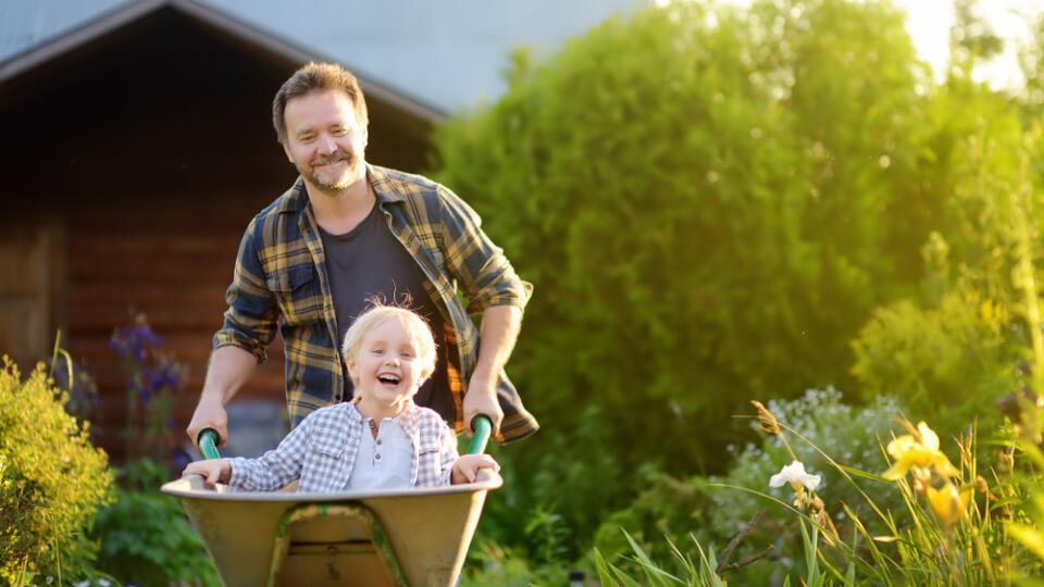 Happy,Little,Boy,Having,Fun,In,A,Wheelbarrow,Pushing,By