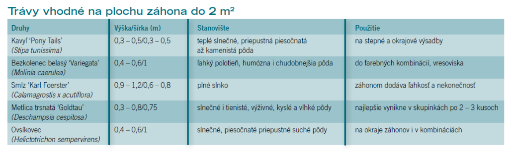 Trávy vhodné do menších záhonov