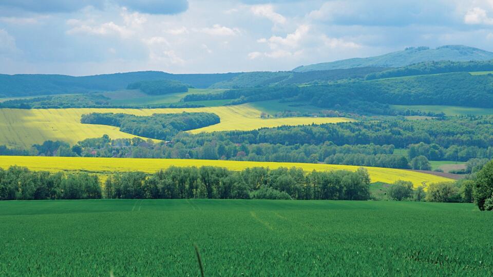 stretnutie rodičov a lekárov s deťmi s ochoreniami srdca, Kopanice, Podkylava, choroba, liečenie, príroda, srdce zo stromov
foto: Ladislav Prikler
uverejnené: Šarm 25/2010
pôvodný súbor:srdce.eps