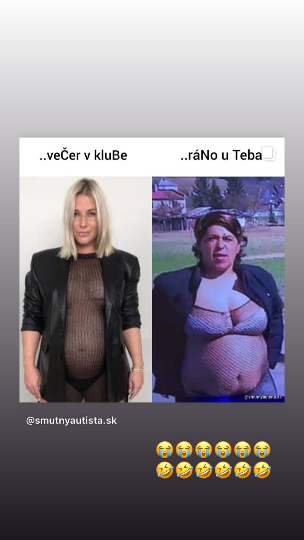 Mnohé satirické stránky po Cibulkovej odvážnom zábere zapracovali naplno a spustila sa hotová lavína vtipov a koláží, ktoré si zobrali extenistku do parády.